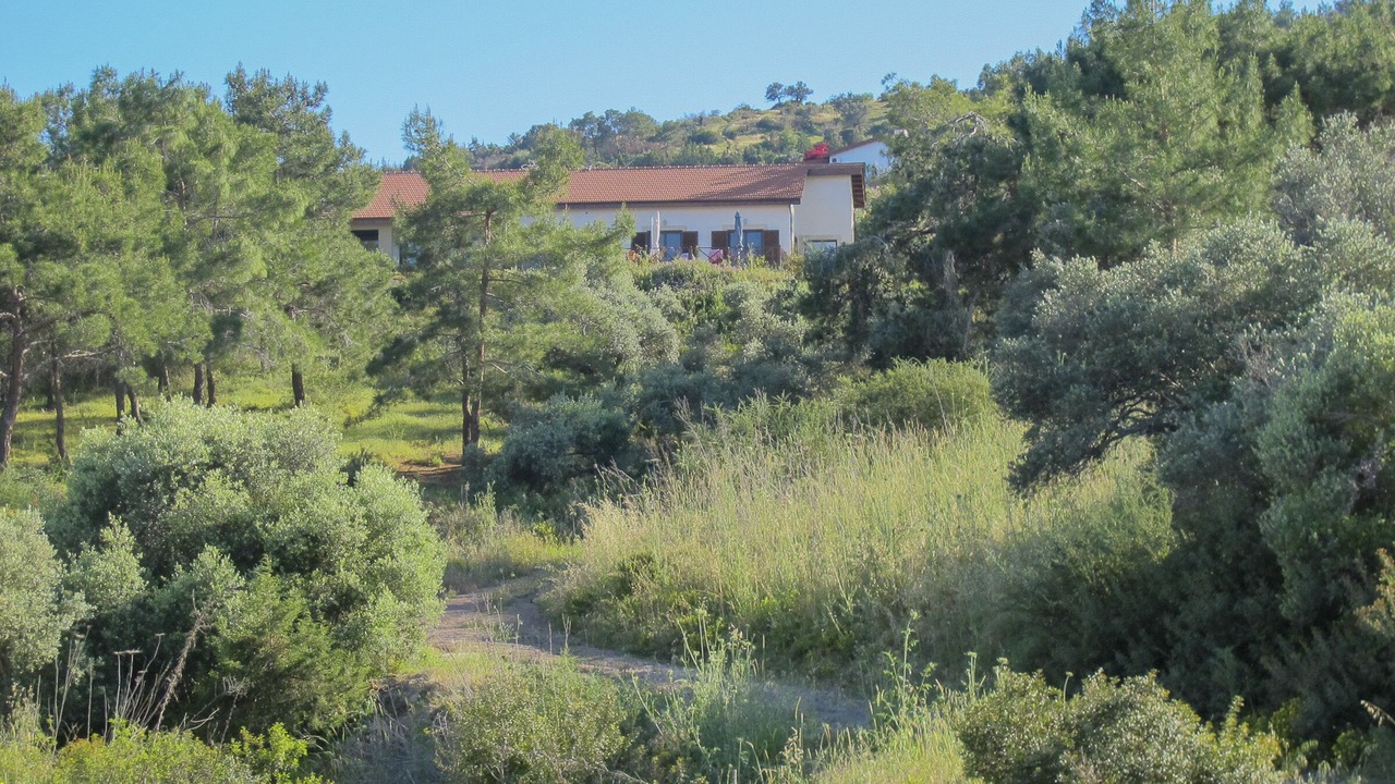 Photo of Outdoor in Neo Chorio