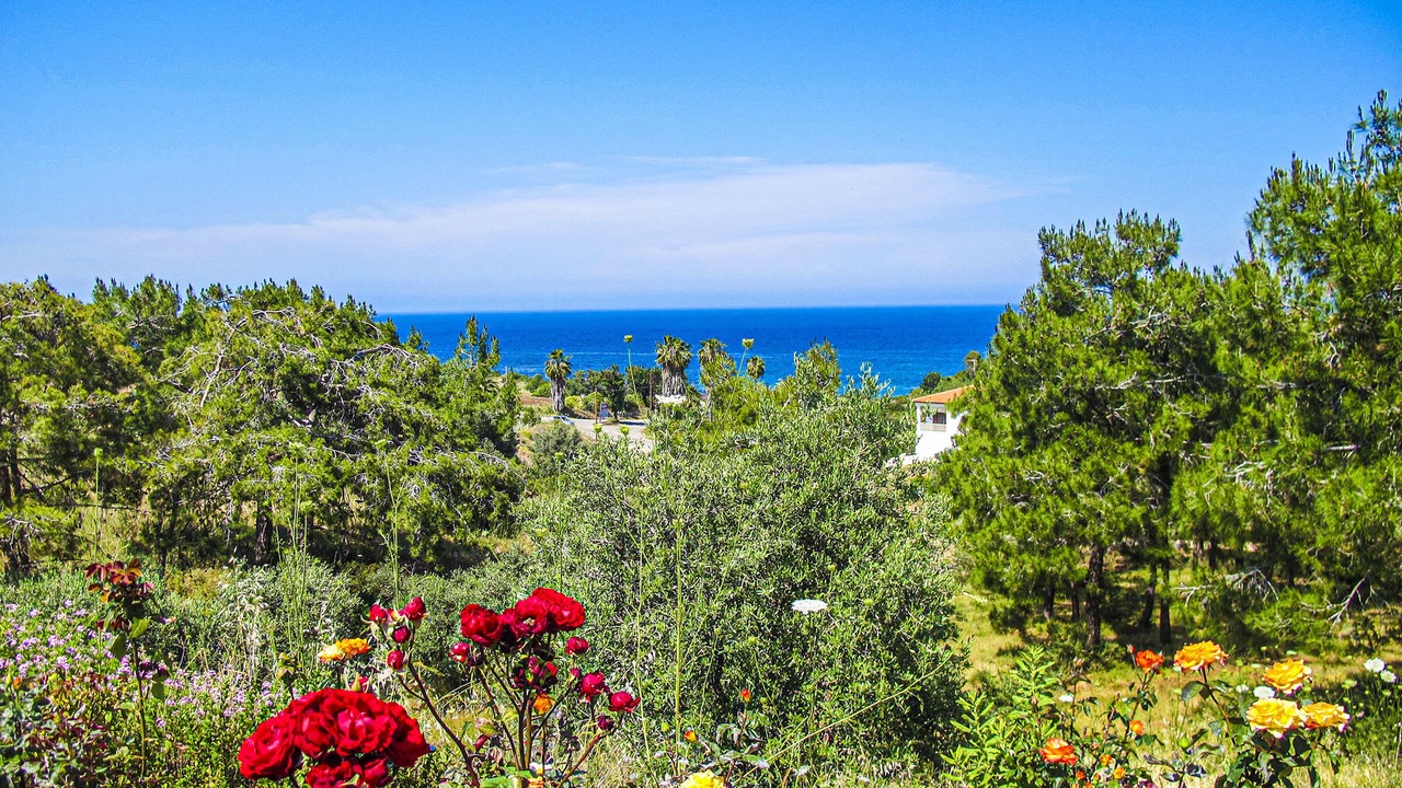 Photo of Outdoor in Neo Chorio