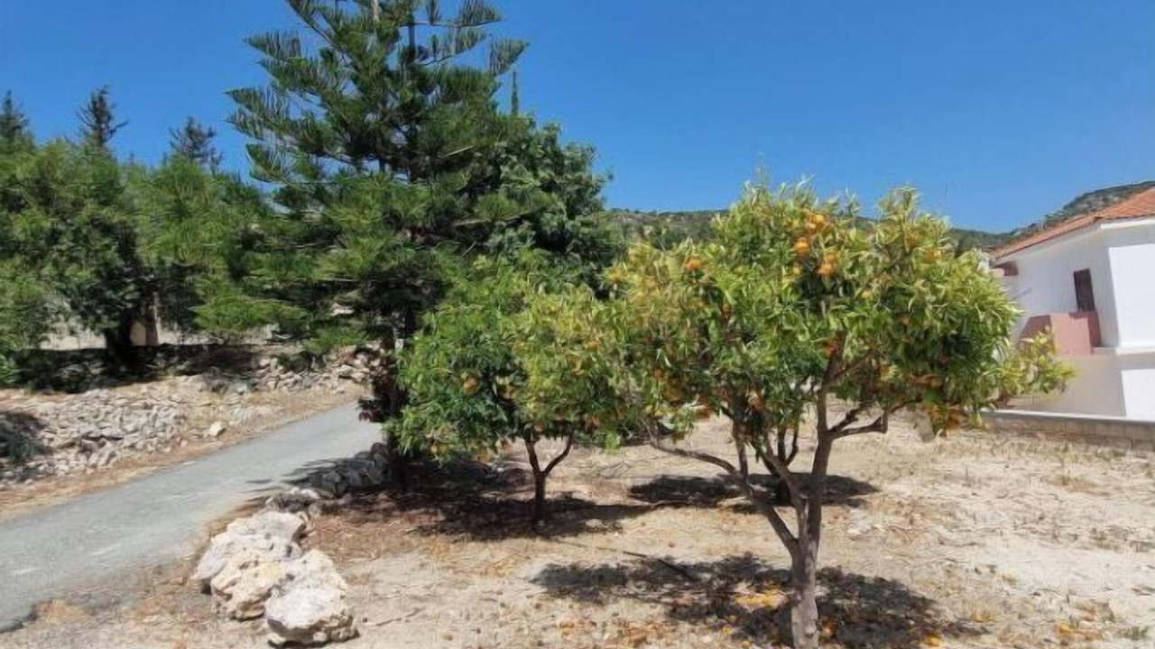 Photo of Outdoor in Steni