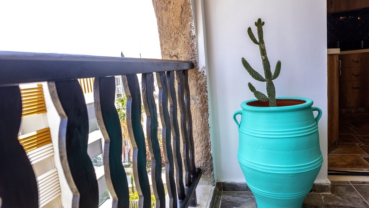 Photo of Outdoor in Germasogeia