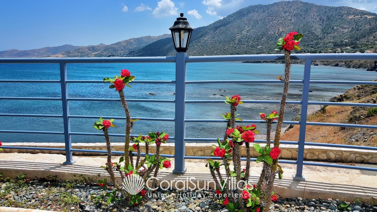 Photo of Outdoor in Pomos