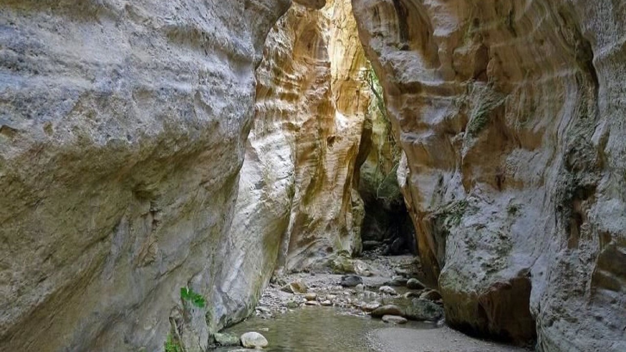Photo of Others in Pegeia