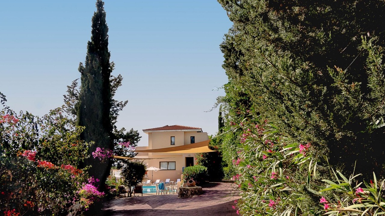 Photo of Outdoor in Pegeia