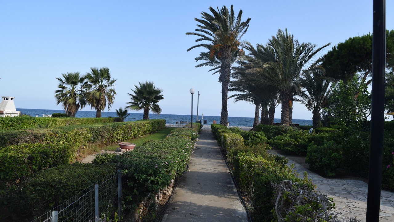 Photo of Outdoor in Larnaca