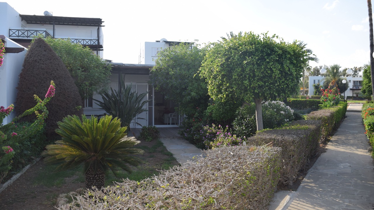 Photo of Outdoor in Larnaca