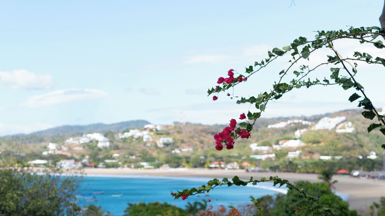 Photo of Others in San Juan del Sur