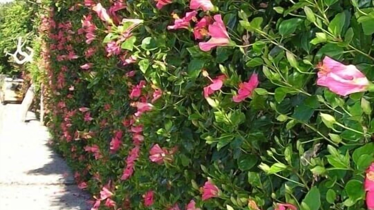 Photo of Outdoor in Paphos