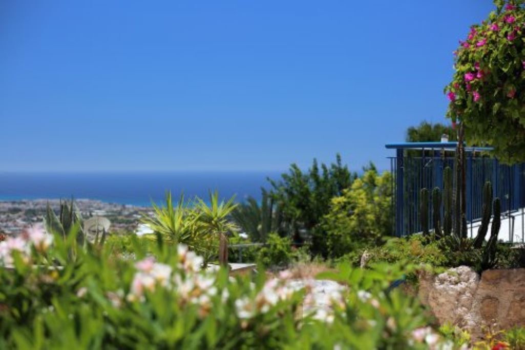 Photo of Outdoor in Tala