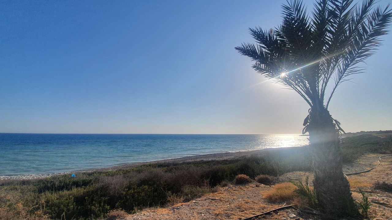 Photo of Others in Paphos