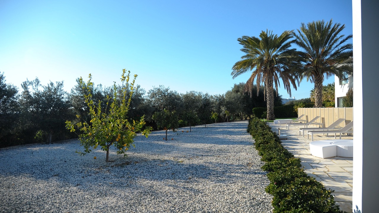 Photo of Outdoor in Paphos