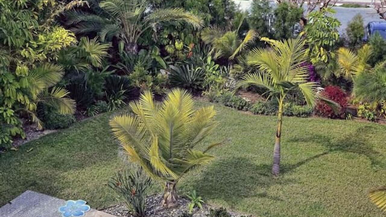 Photo of Outdoor in Latchi