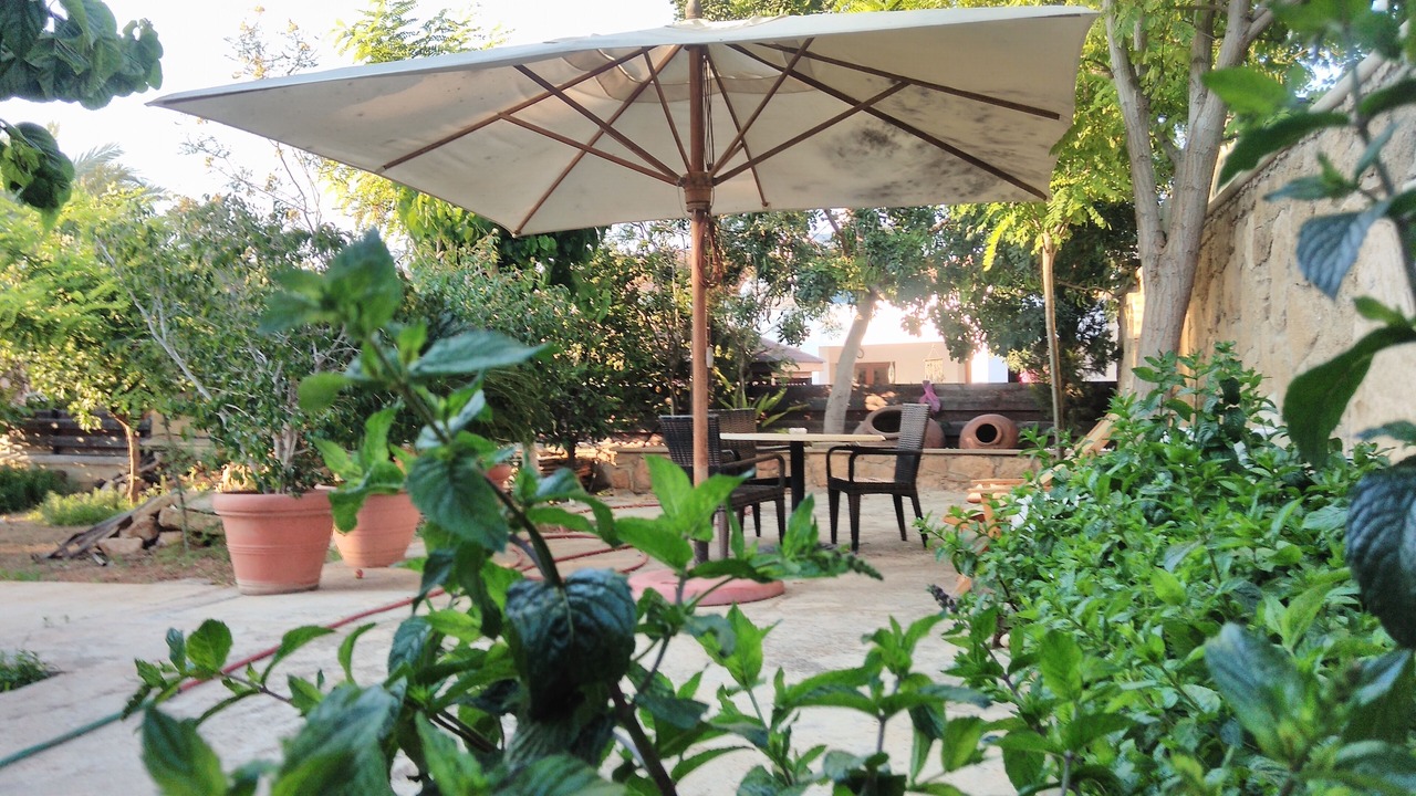 Photo of Patio Balcony in Chlorakas