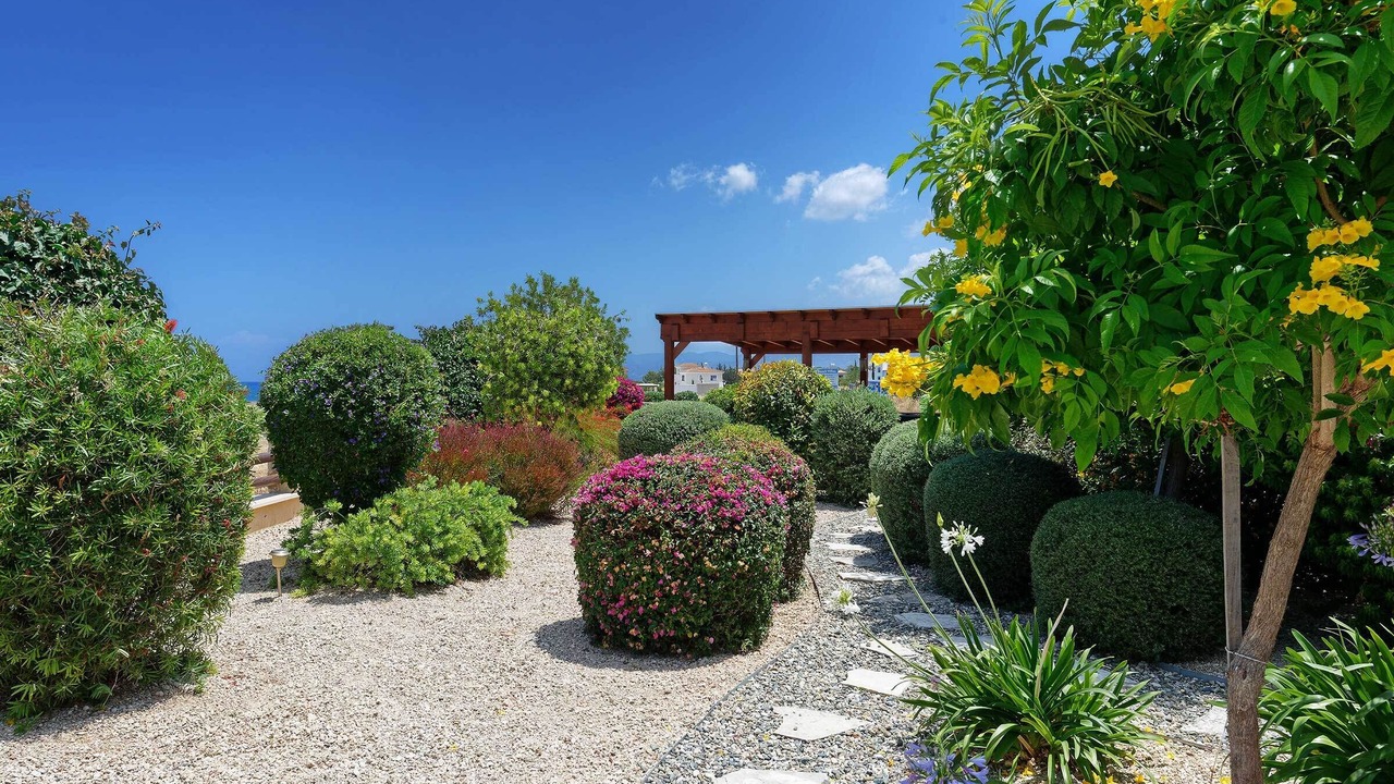Photo of Outdoor in Latsi