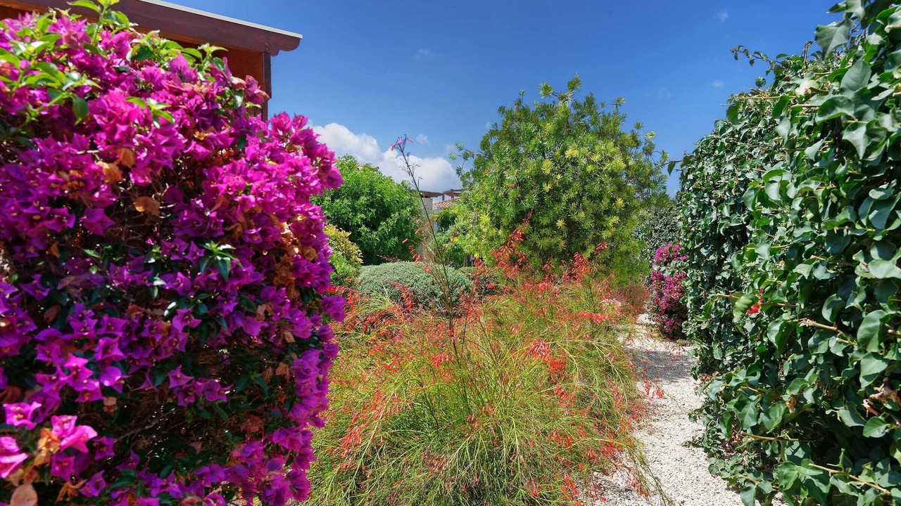 Photo of Outdoor in Latsi