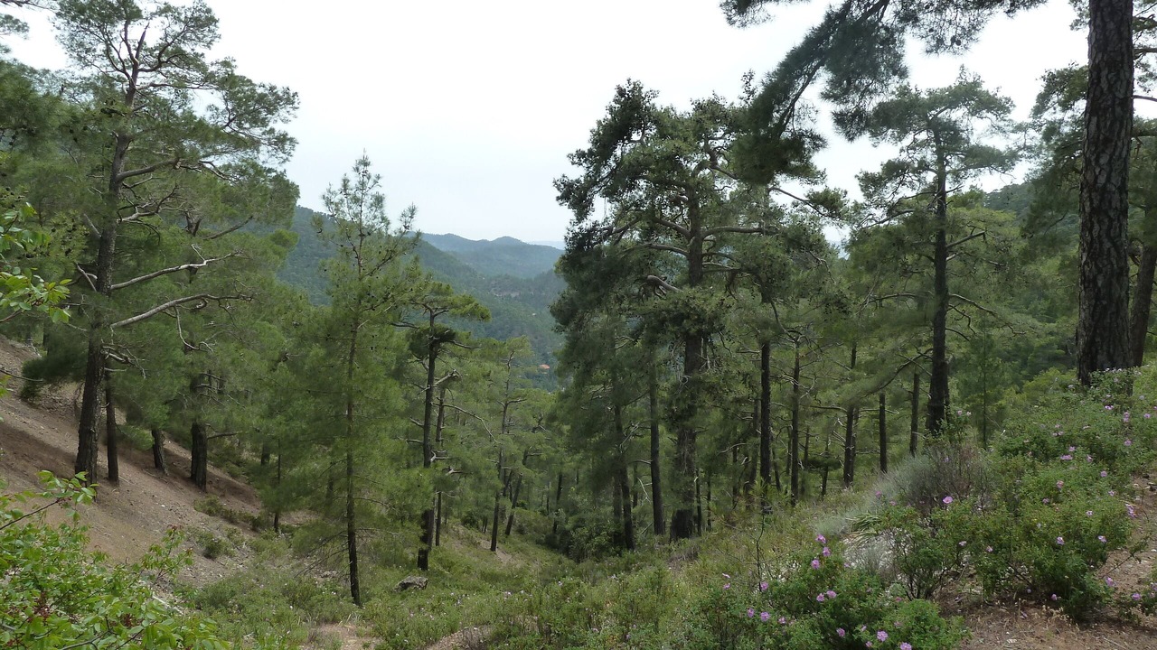 Photo of Outdoor in Polis