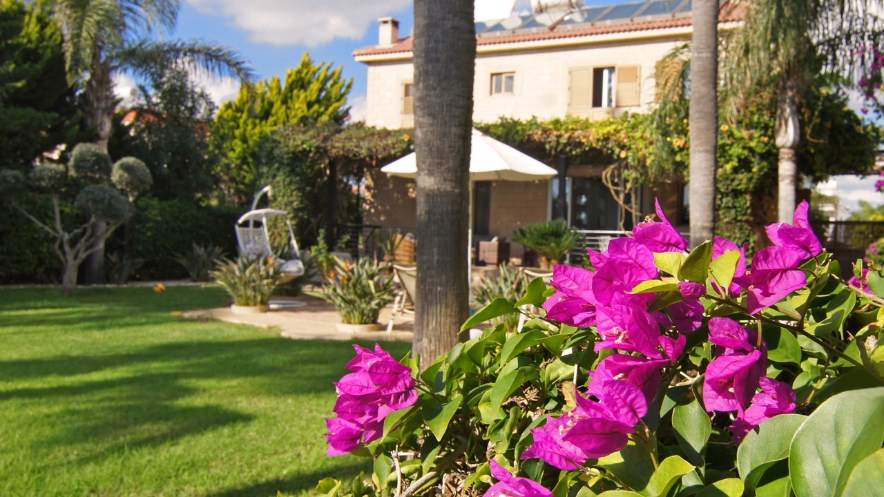 Photo of Outdoor in Ayia Thekla
