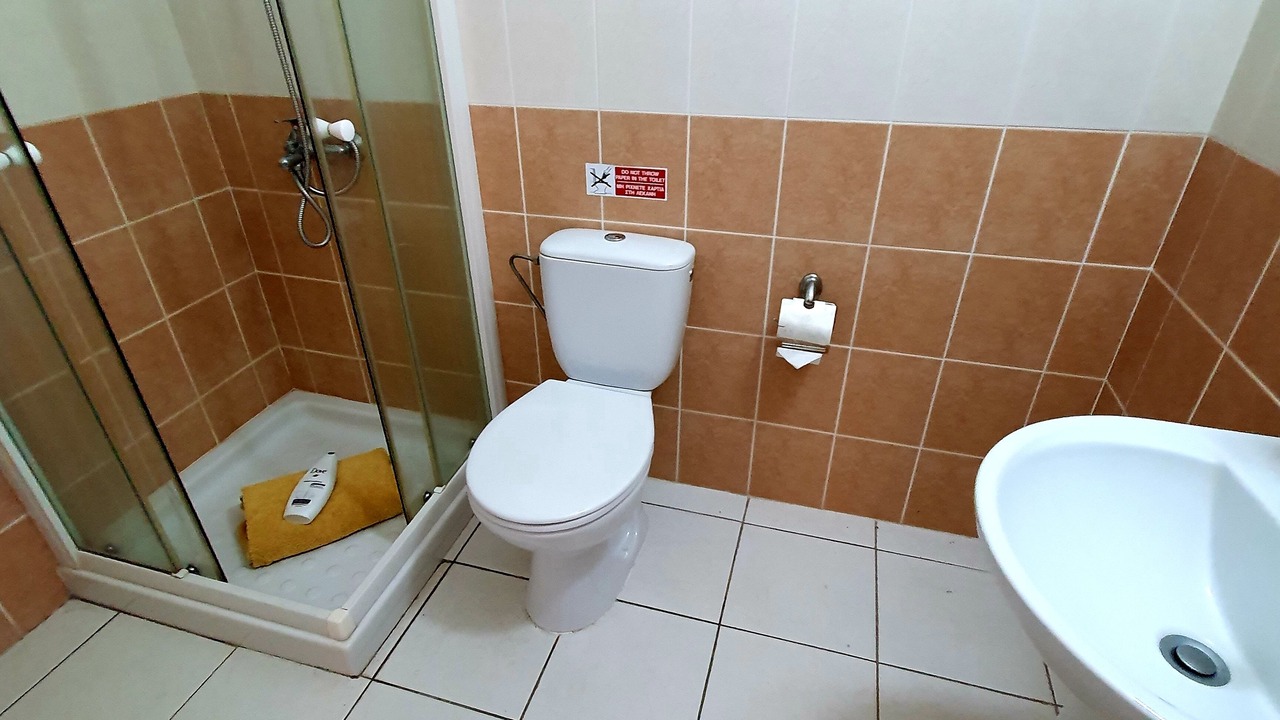Photo of Bathroom in Koloni