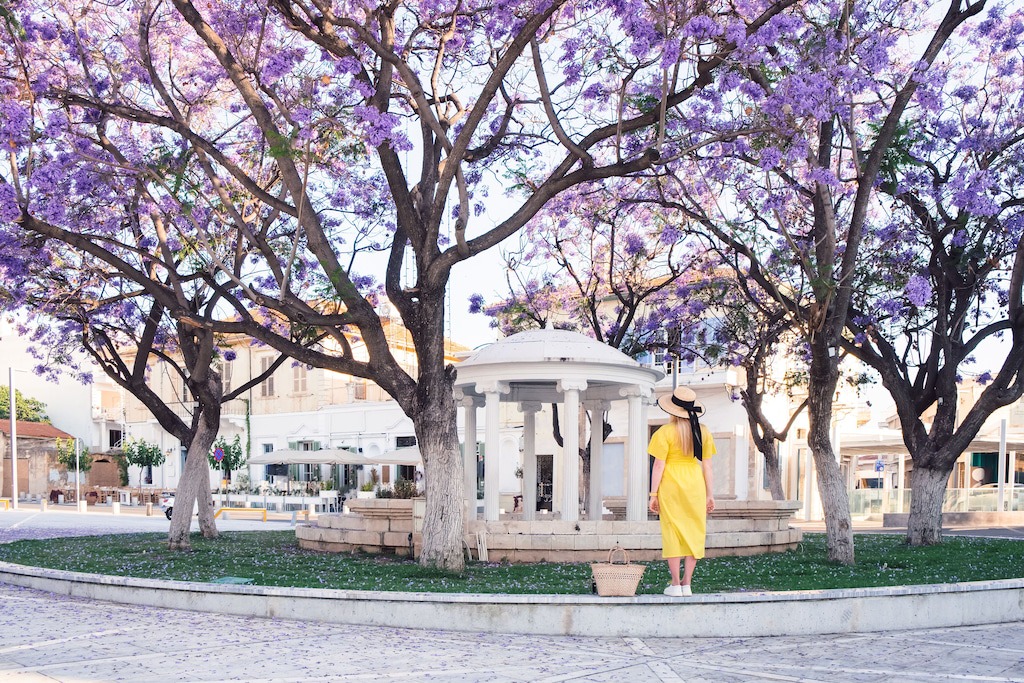 Photo of Others in Old Town