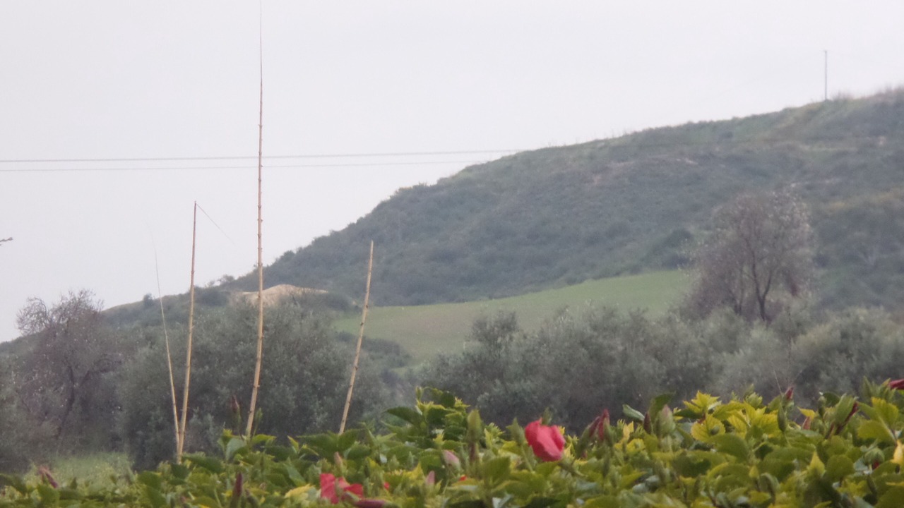 Photo of Outdoor in Polis