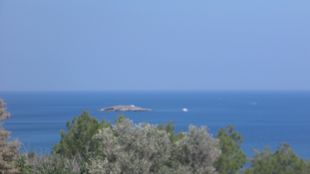 Photo of Others in Polis