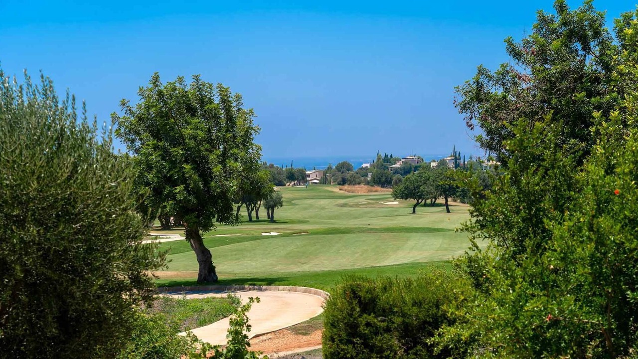 Photo of Others in Aphrodite Hills