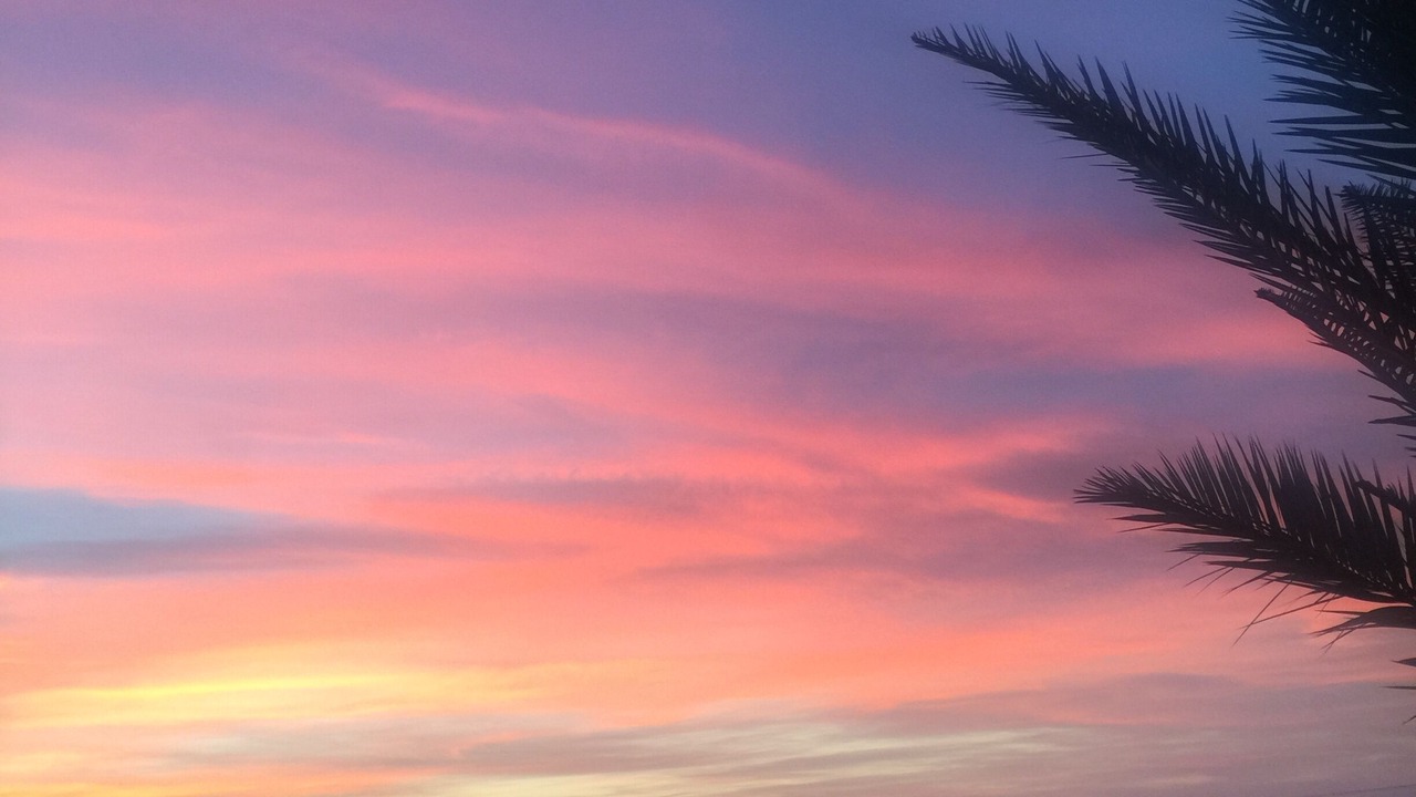 Photo of Outdoor in Yeni Erenkoy