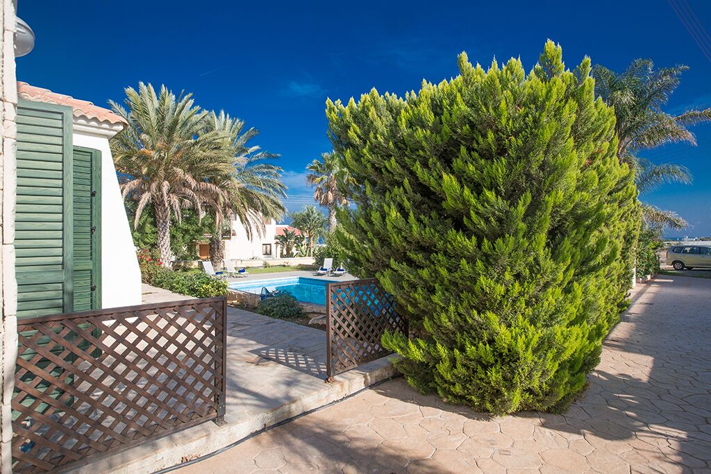 Photo of Outdoor in Paralimni
