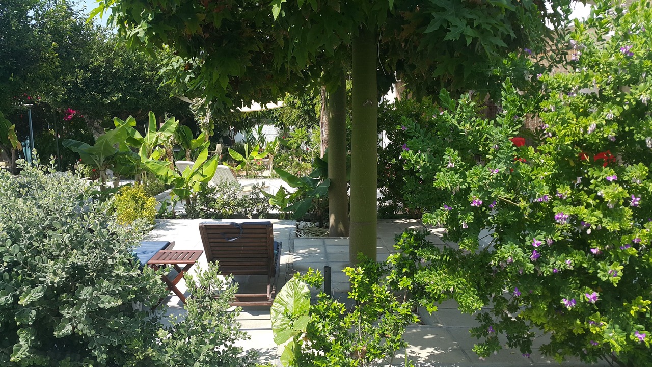 Photo of Outdoor in Pervolia
