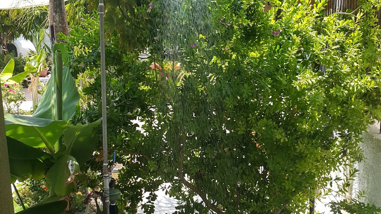 Photo of Outdoor in Pervolia