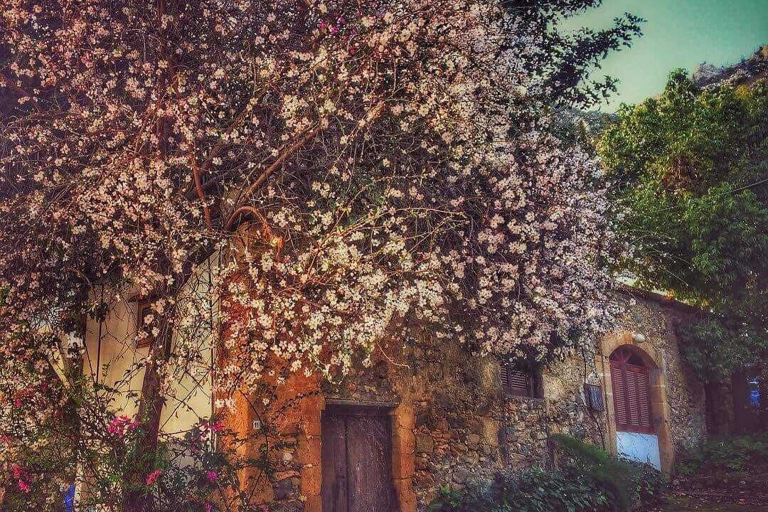 Photo of Outdoor in Karaman
