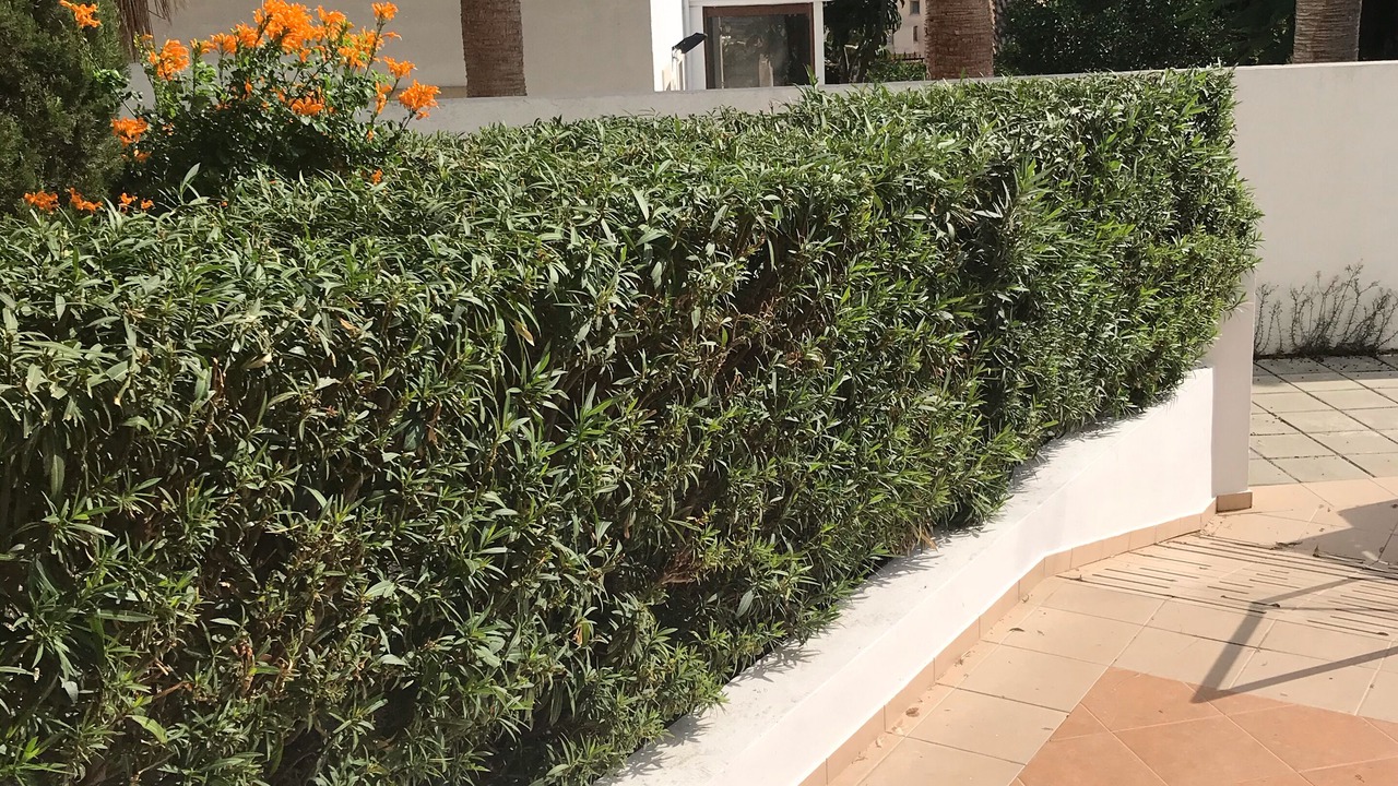 Photo of Outdoor in Oroklini