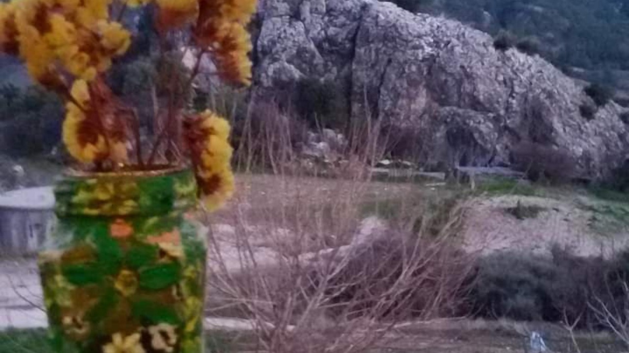 Photo of Others in Vasa Koilaniou
