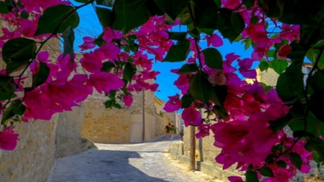 Photo of Outdoor in Choirokoitia