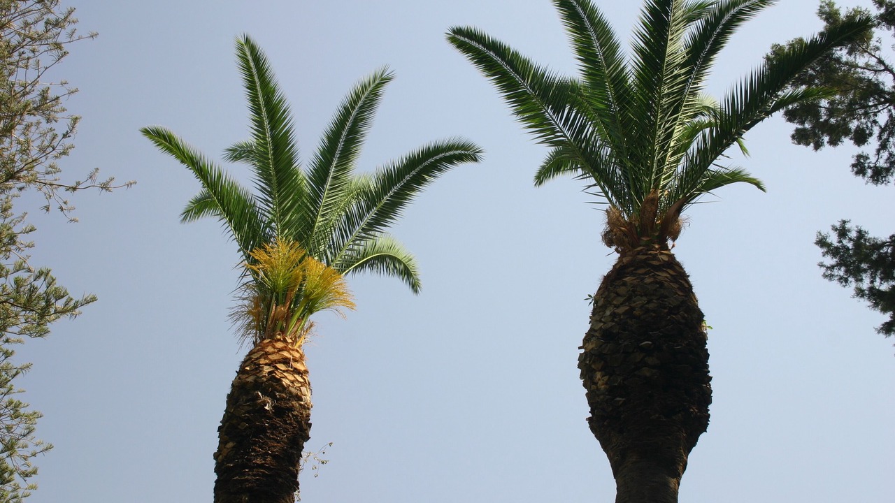 Photo of Outdoor in Karavas