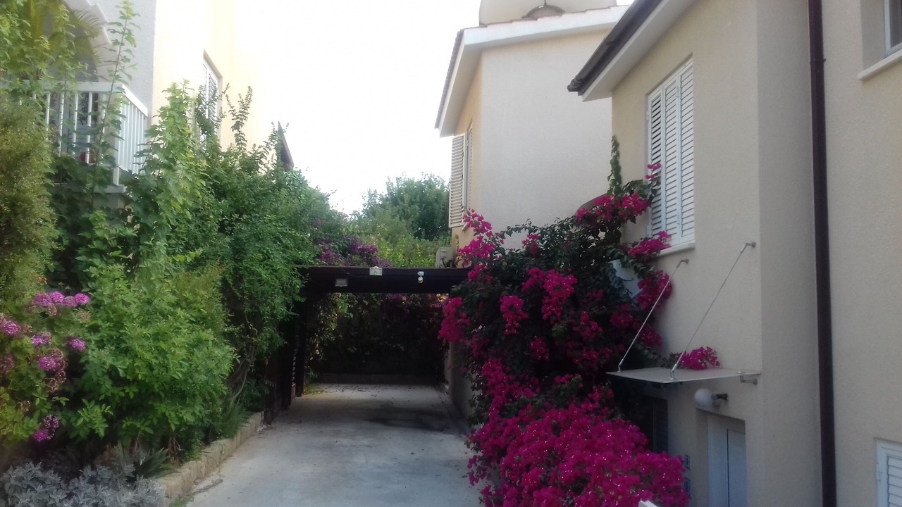 Photo of Outdoor in Kissonerga