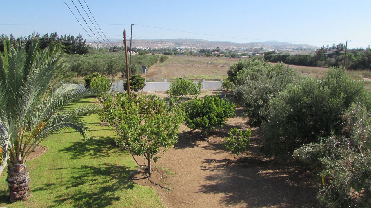 Photo of Outdoor in Geroskipou