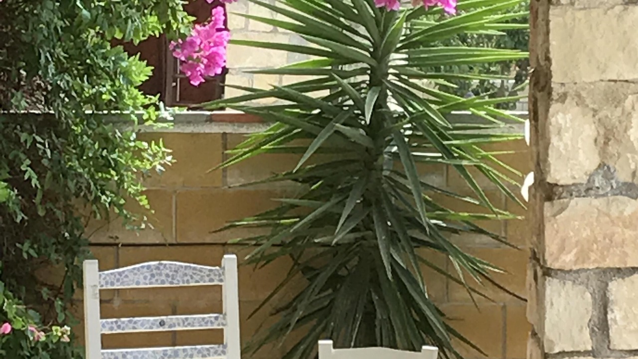 Photo of Others in Agios Dimitrianos