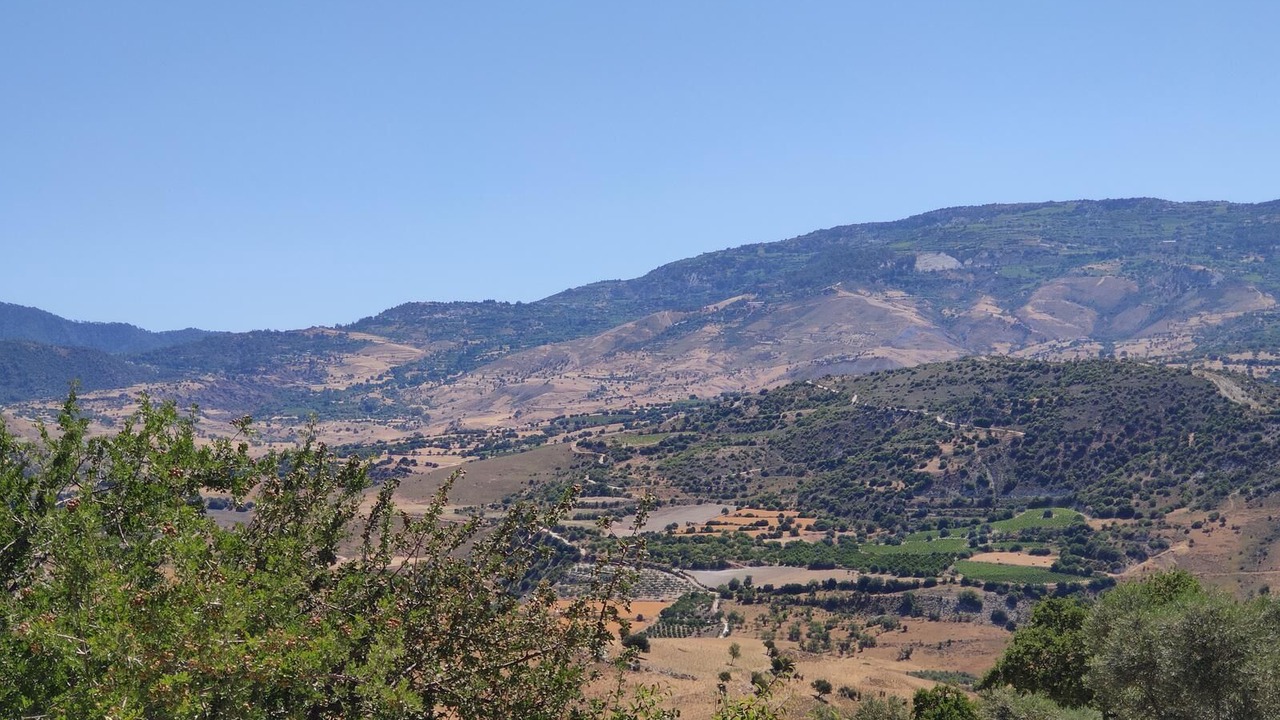 Photo of Others in Agios Dimitrianos