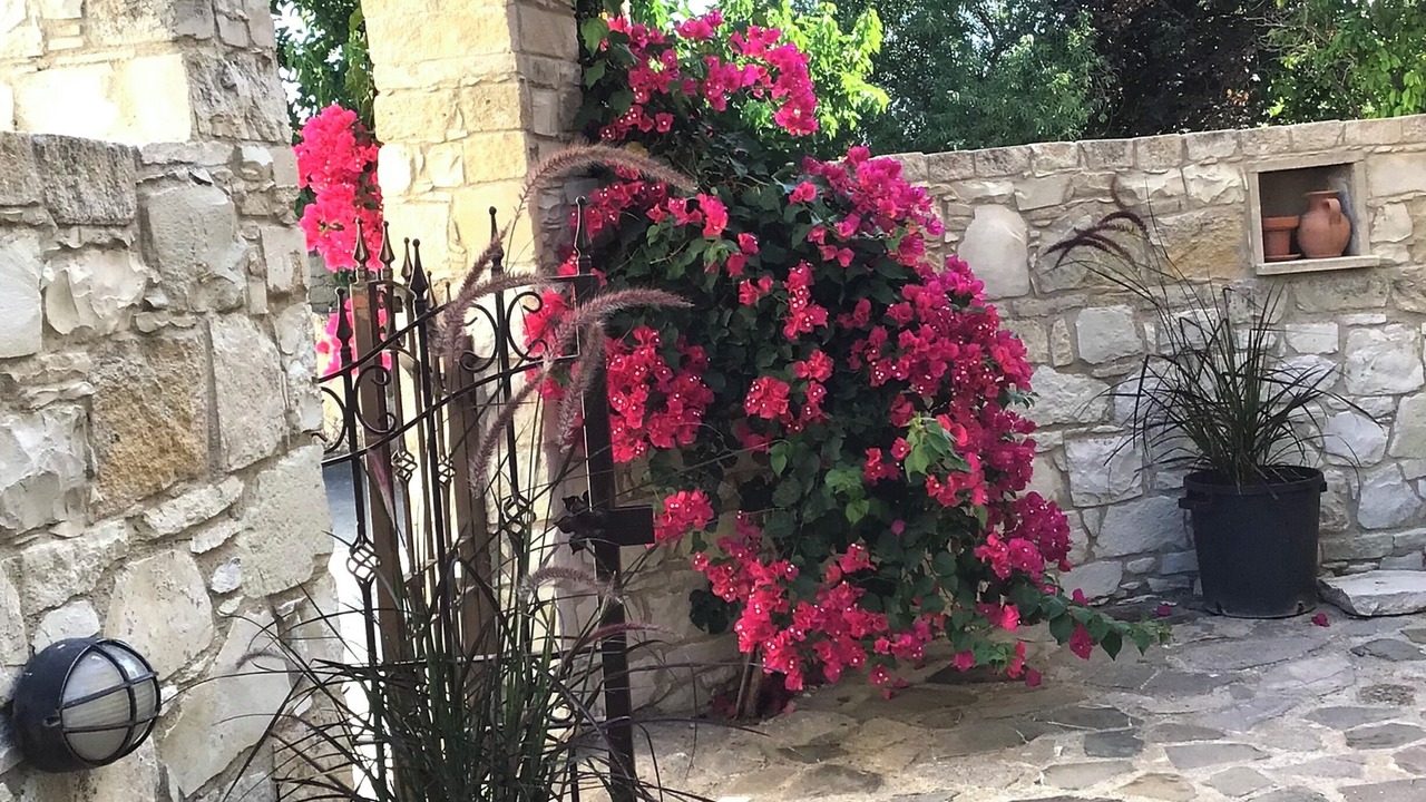 Photo of Outdoor in Old Town