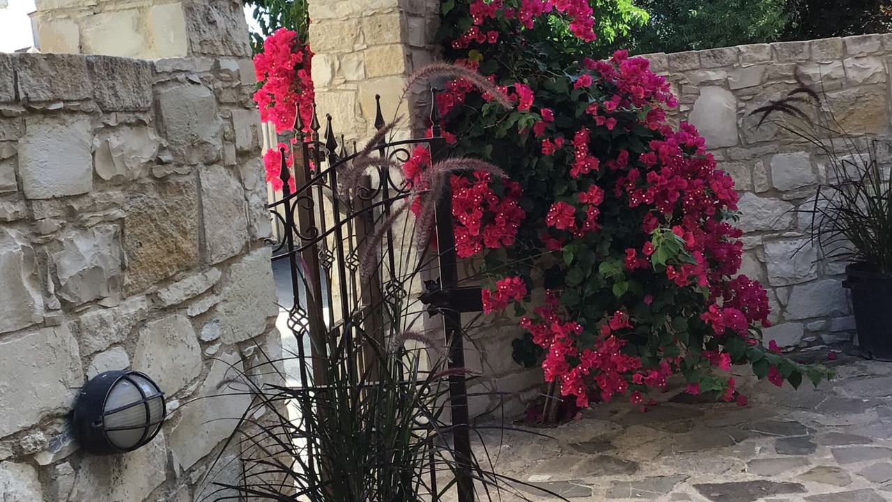 Photo of Outdoor in Old Town