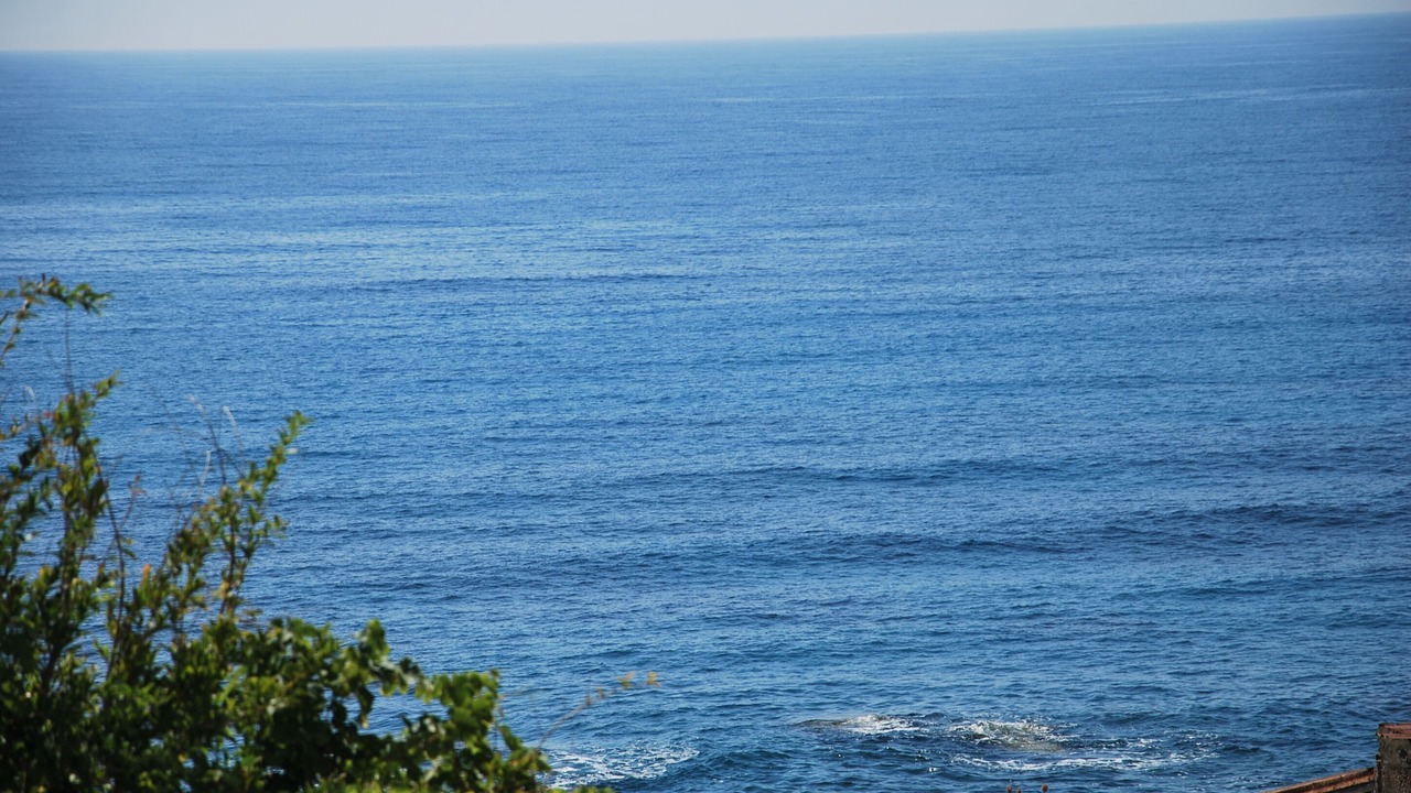 Photo of Others in Ayia Marina Chrysochous