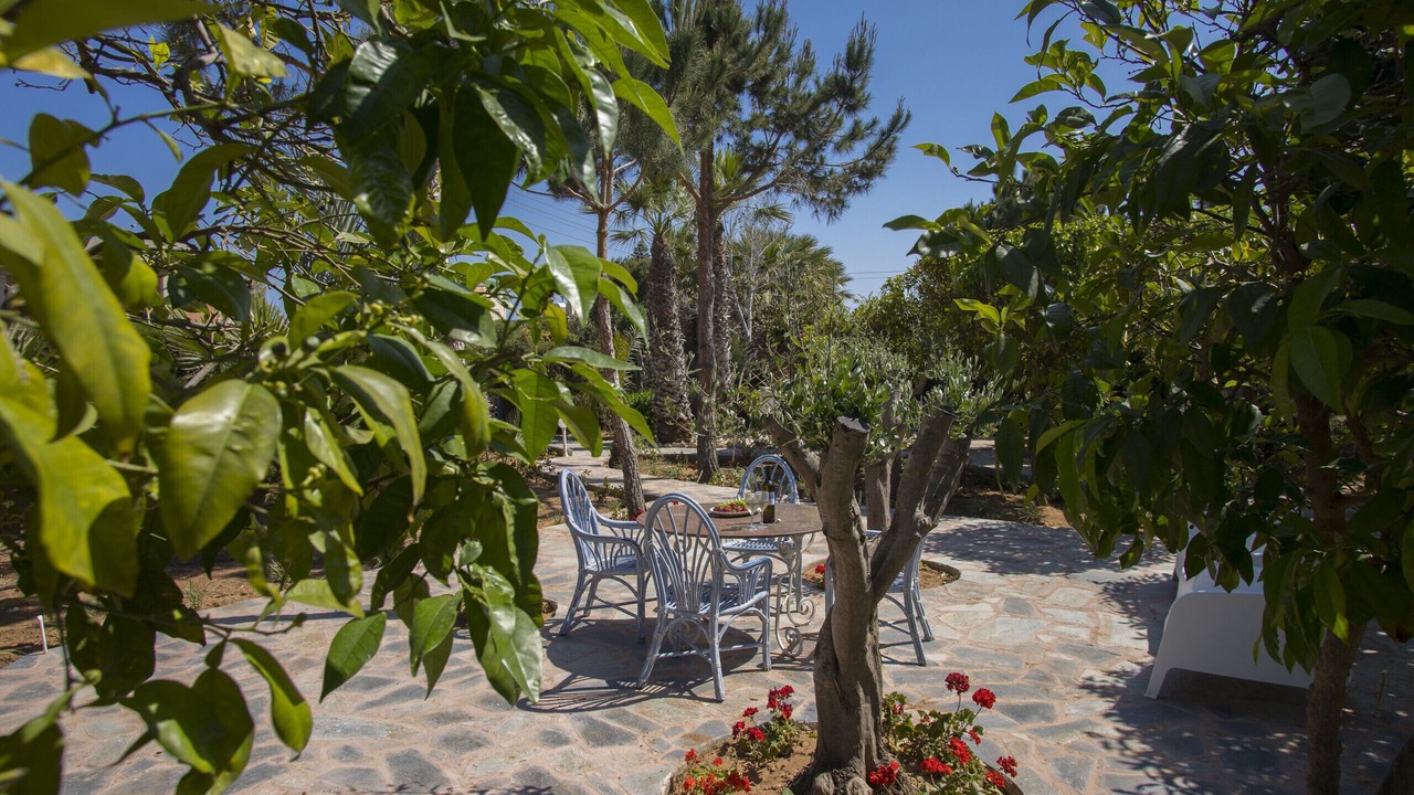 Photo of Outdoor in Cape Greko