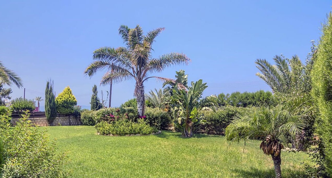 Photo of Outdoor in Ayia Marina Chrysochous