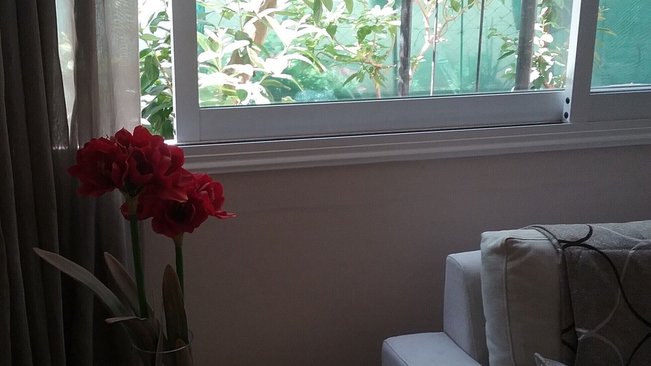 Photo of Livingroom in Old Town