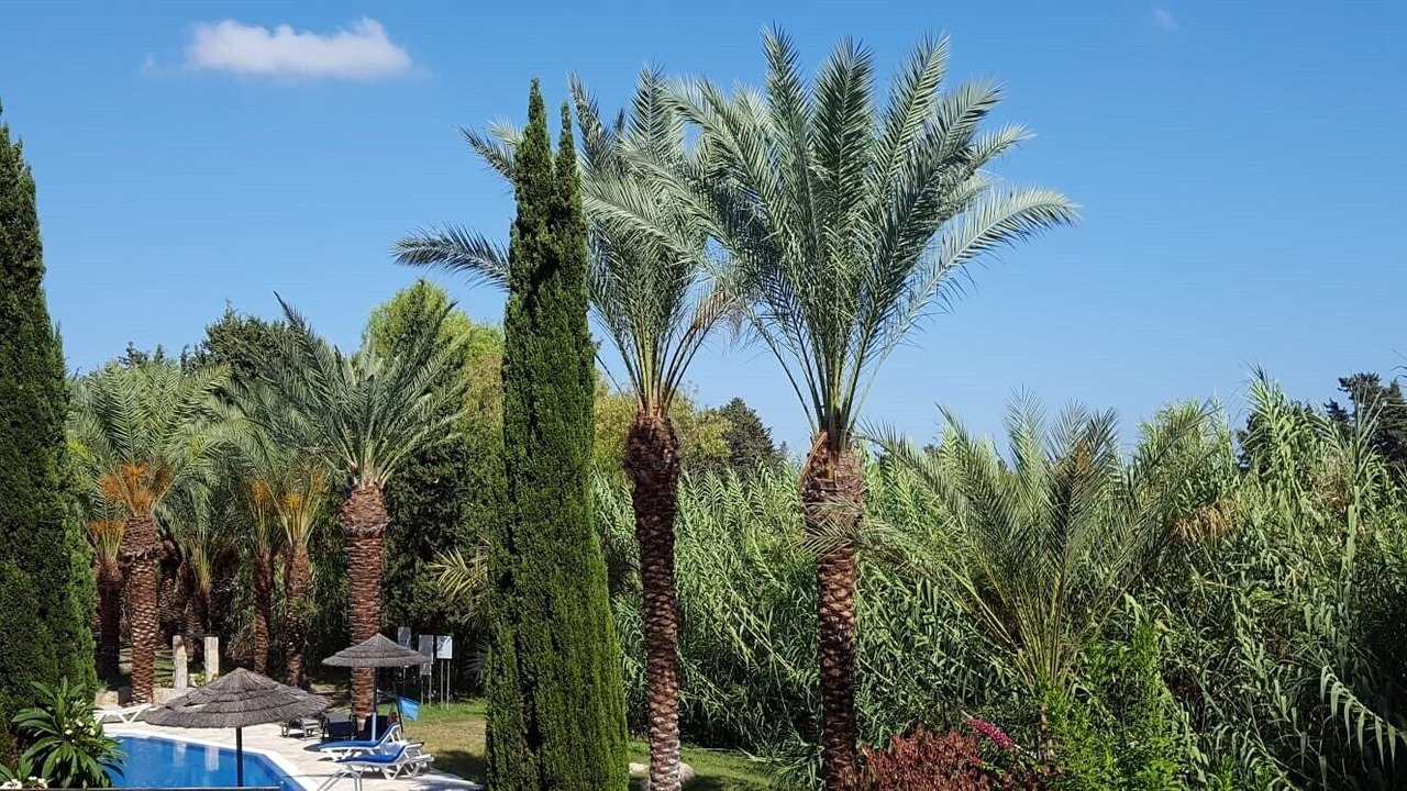 Photo of Outdoor in Paphos