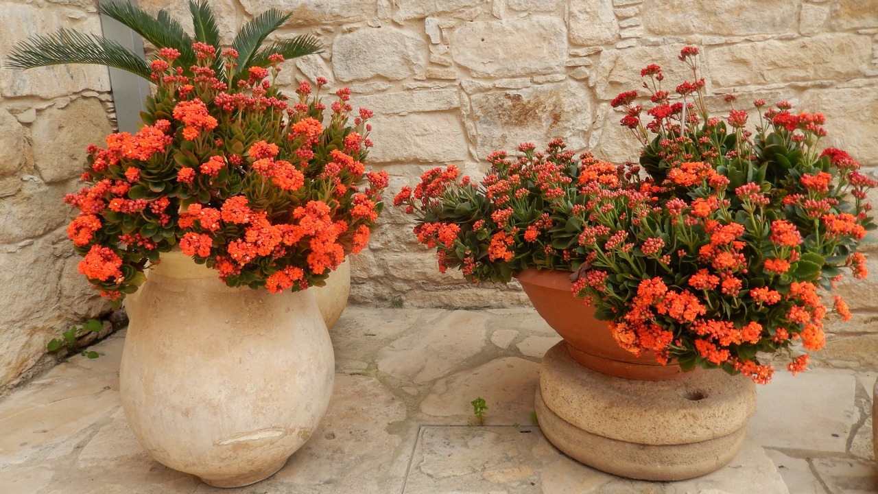Photo of Outdoor in Agios Athanasios