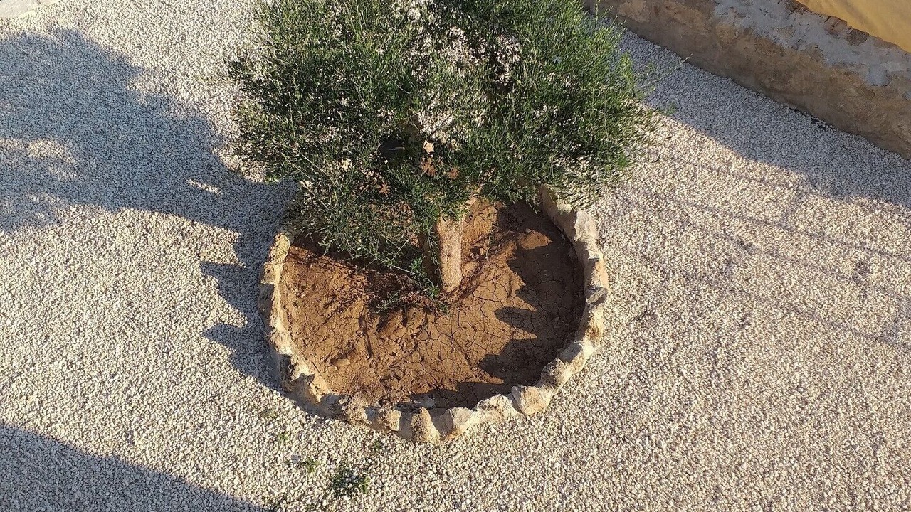 Photo of Outdoor in Geroskipou