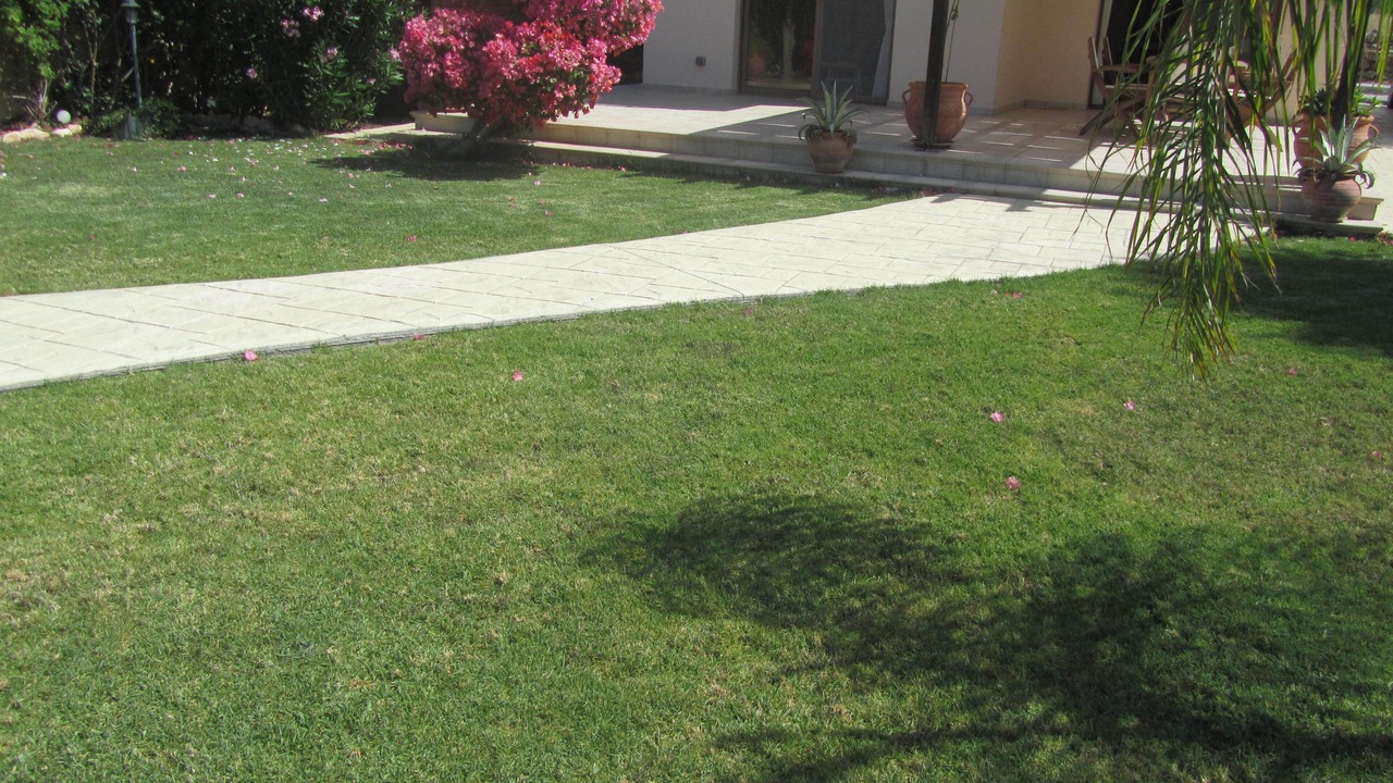 Photo of Outdoor in Pissouri