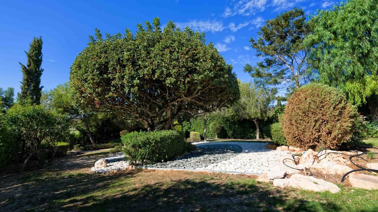 Photo of Outdoor in Aphrodite Hills