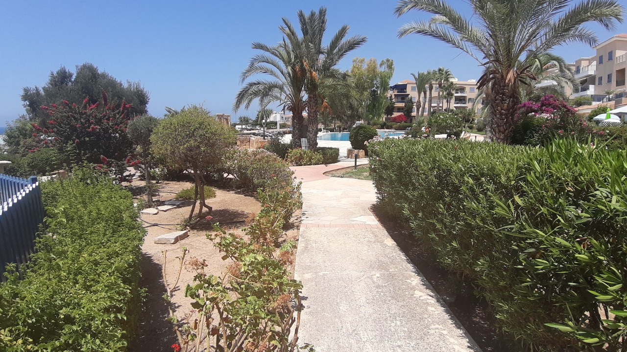 Photo of Outdoor in Paphos